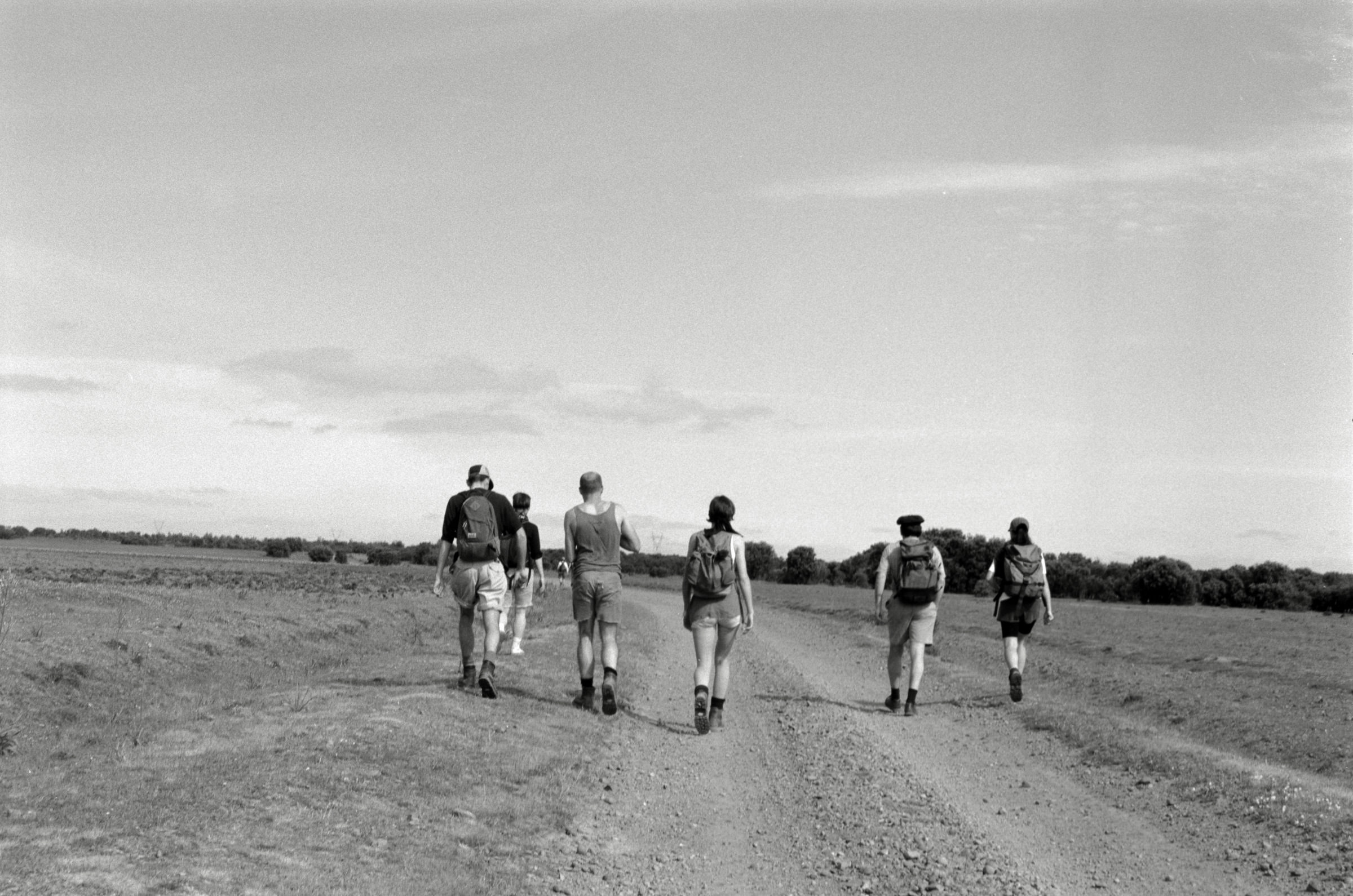 AHP F1995 05 009 sc240826 img08 NLP